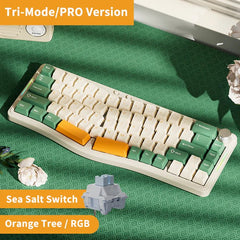 Ajazz AKS068Pro Orange Tree Mechanical keyboard RGB Wired&Wireless(Sea Salt switch) - I Gaming Computer | Australia Wide Shipping | Buy now, Pay Later with Afterpay, Klarna, Zip, Latitude & Paypal